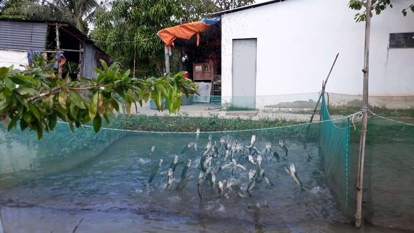 Mekong Day Tour by Car:Cai Be market, Local Island & Cycling - Comfort, What to Bring, and Who This Trip Fits