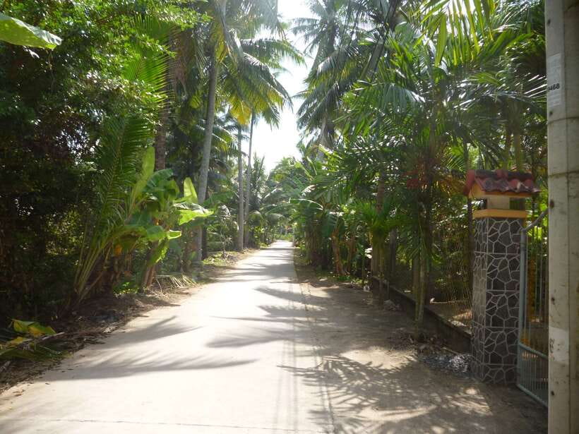 Mekong Day Tour by Car:Cai Be market, Local Island & Cycling - The 7:30 AM Pickup and the Drive That Changes the Mood