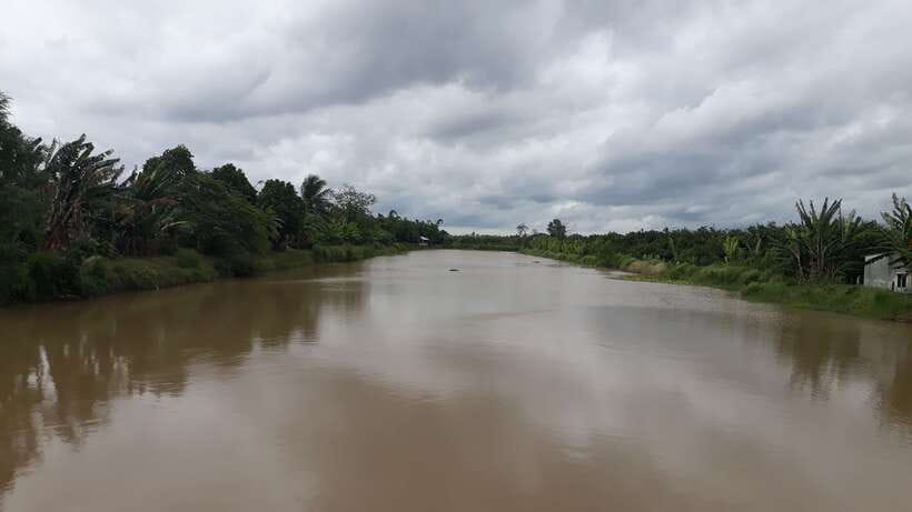 Mekong Day Tour by Car:Cai Be market, Local Island & Cycling - Sampan Through Small Canals: The Most Memorable Way to Slow Down