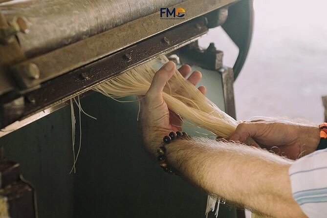 Mekong day tour Visit Cai Rang Floating Market pick up in Sai Gon - Phong Điền noodle house: colorful hands-on learning in 20 minutes