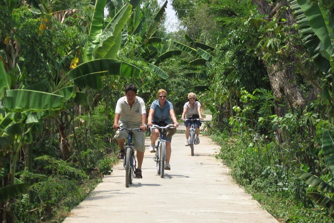 Mekong Delta 4 Islands, TukTuk, Boat, Try Khot Cake Local Cooking - Coconut candy, honey tea, and tropical fruit tastings