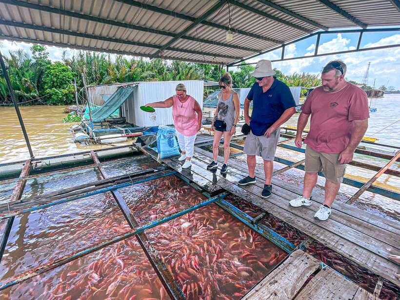 Mekong Delta 'Lesser-Known' My Tho & Ben Tre 1-Day Tour - Bee farm and honey tastings: the science of a small industry