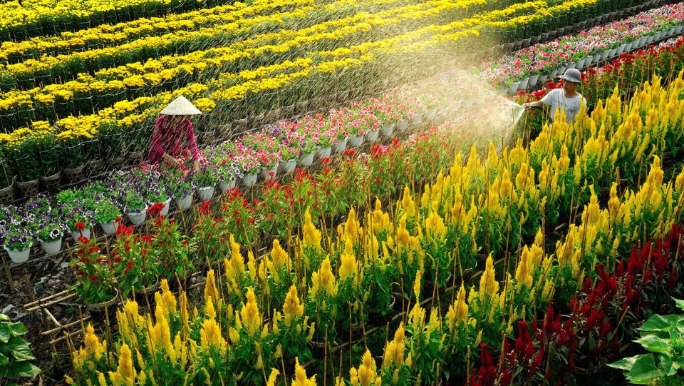 Mekong Delta Tour 2-Day (SaDec – Can Tho - My Tho - Ben Tre) - A practical look at this Mekong Delta 2-day plan