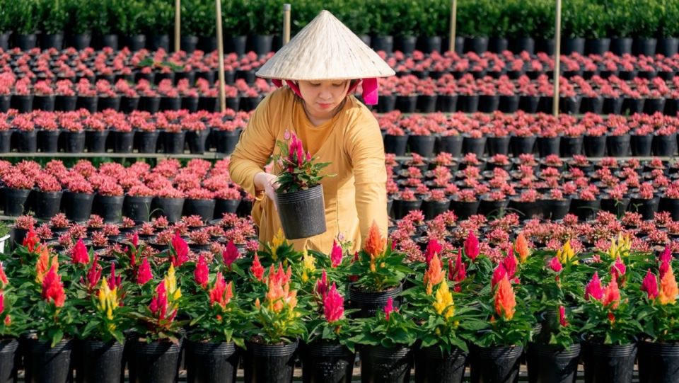 Mekong Delta Tour 2-Day (SaDec – Can Tho - My Tho - Ben Tre) - Why the Can Tho overnight helps (even when the plan is busy)