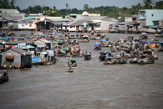 Mekong Delta Tour Full Day Cai Be-Vinh Long - Lunch set menu with vegan option, Bánh Xèo, and coconut juice