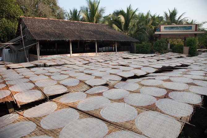 Mekong Delta Tour Full Day Cai Be-Vinh Long - Who should book this Cai Be–Vinh Long full day tour