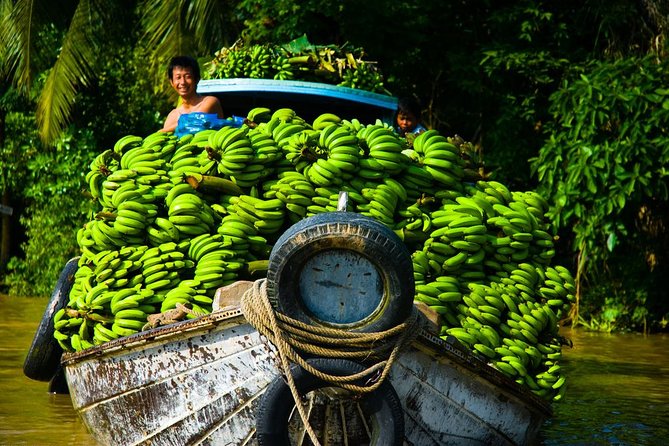 Mekong Delta Tour with Kayaking, Cycling and Cooking - Timing and the ride from Ho Chi Minh City