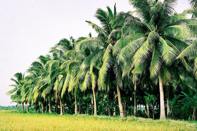 Mekong Delta with Floating Market 2 Days - The Ben Tre pacing: motocart or bike and rural delta scenery