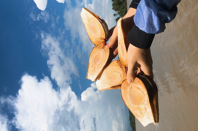 Mekong with biking private tour - Rice fields by season: a short window into farmland life