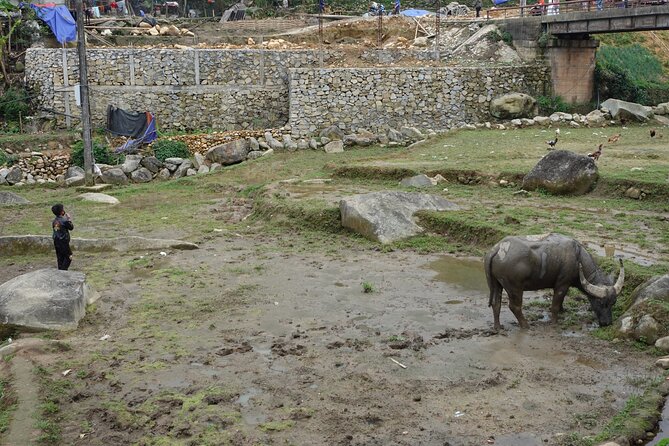 Mountain views and villages trek – 1 Day - Ham Da with the Black Hmong: farming, house-building, and marriage traditions