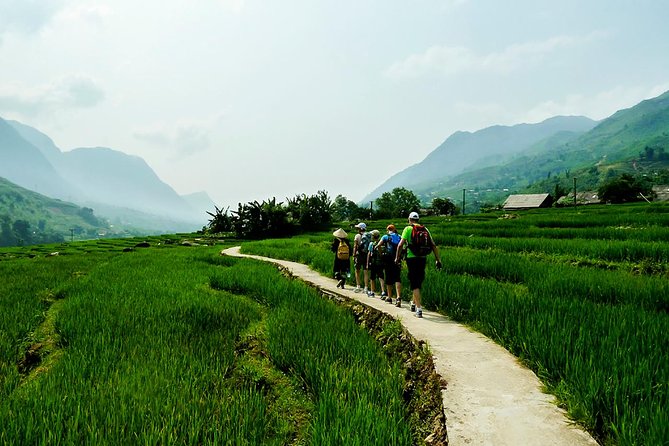 Mountain views & Rice Terraced Fields Hiking – 2D 1N - Hmong, Giay, and Red Dao: What This Trek Is Really About