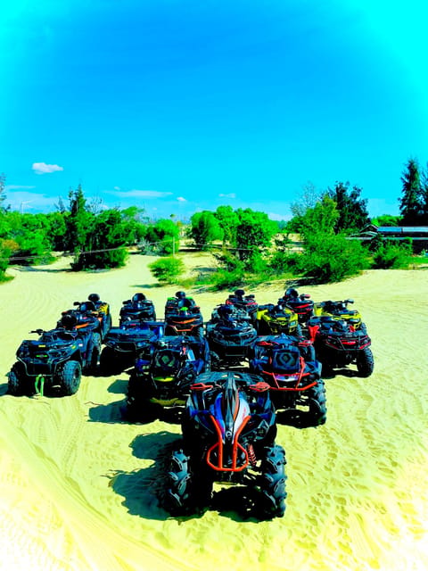Mui Ne special: Quad Bike ATV drive by yourself+ Jeep &Guide - Dragon Fruit Farm: A Quick Stop That Adds Real Flavor