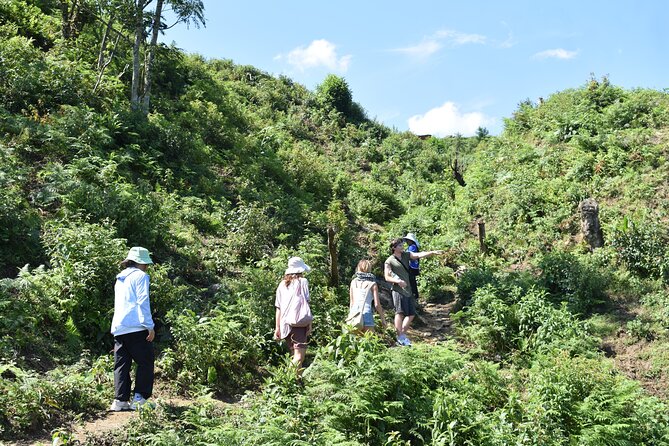 Muong Hoa Valley View & Village Trek in Sapa 1 Day - Muong Hoa Valley: Cliffside Road Views and Wildflower-Season Surprise
