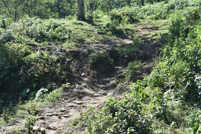 Muong Hoa Valley View & Village Trek in Sapa 1 Day - Lunch, Vegetarian Options, and the Small Logistics That Keep You Comfortable