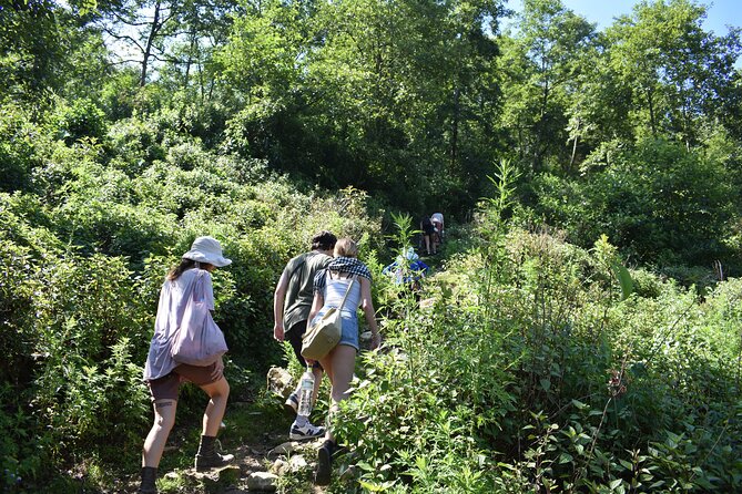 Muong Hoa Valley View & Village Trek in Sapa 1 Day - How Much Is $53 Really Worth Here?