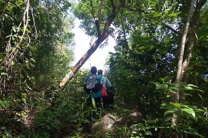 My Son sanctuary and mountain trekking - The Trek: Hidden Paths, Streams, and a Local Who Knows the Land