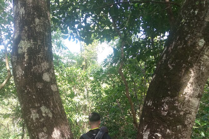 My Son sanctuary and mountain trekking - Rest Stops, Snacks, and the Calm Midday Breaks
