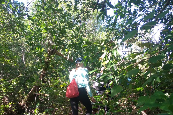 My Son sanctuary and mountain trekking - Barbecue and Food Included: A Real Reason This Tour Feels Worth It