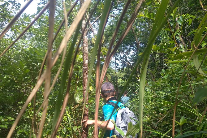 My Son sanctuary and mountain trekking - Price and Value: How $59 Adds Up (Plus One Clear Extra Cost)