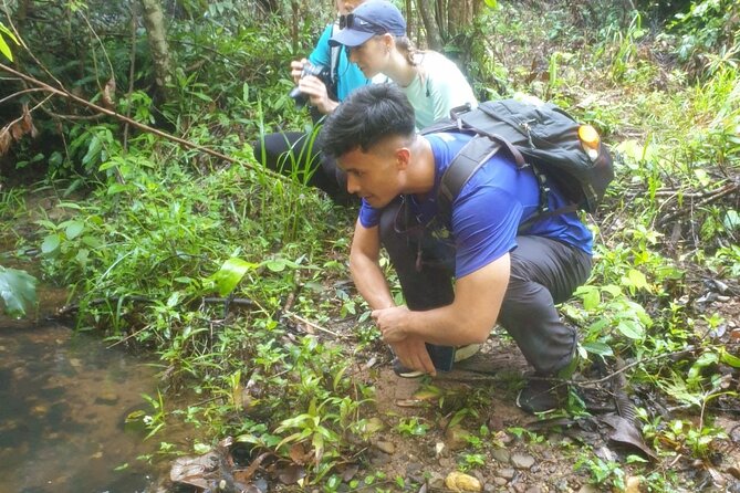 My Son sanctuary and mountain trekking - Entering My Son Sanctuary Around 6:30am