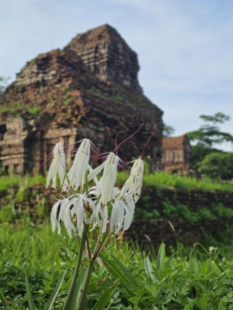 My Son Sanctuary Morning/Afternoon with Boat Trip and Banhmi - From Hoi An to My Son and back: a 6-hour loop that makes sense