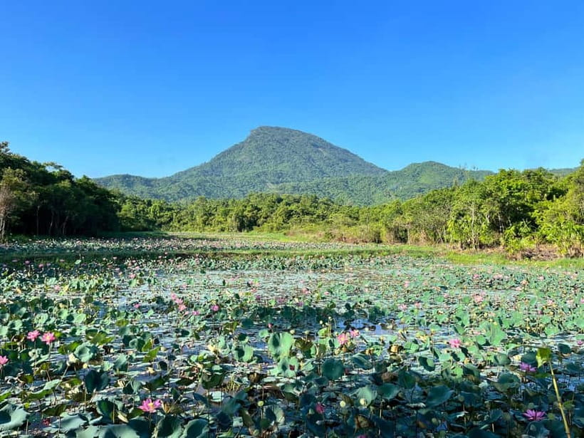 MY SON SANCTUARY - RICE PAPER MAKING DELUXE TOUR FROM DANANG - Price and logistics: where the $27 value holds, and what to pay extra