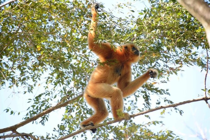 Nam Cat Tien National Park 2 Days 1 Night - Private Tour - Nocturnal wildlife by jeep: shared group, big atmosphere