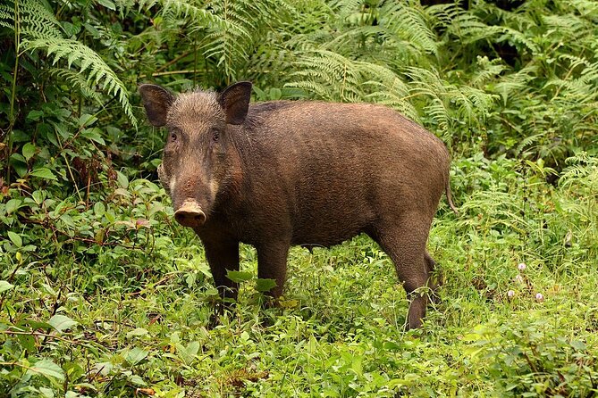 Nam Cat Tien National Park 2 Days 1 Night - Private Tour - Meals + hotel: comfort that keeps you in the moment