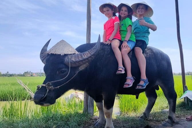 Nature Adventure Private Tour by Electric Car - An Bang Beach: finish where most people want to stay