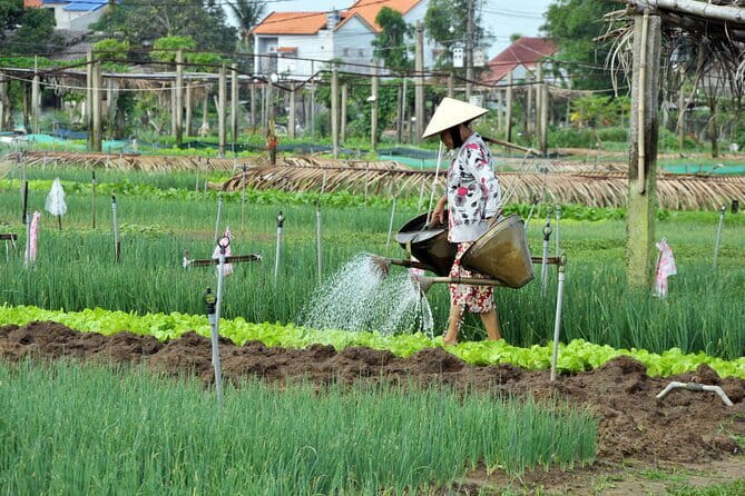 Nature Adventure Private Tour by Electric Car - The rice paddies and Coconut Road drive: your best photo stretch
