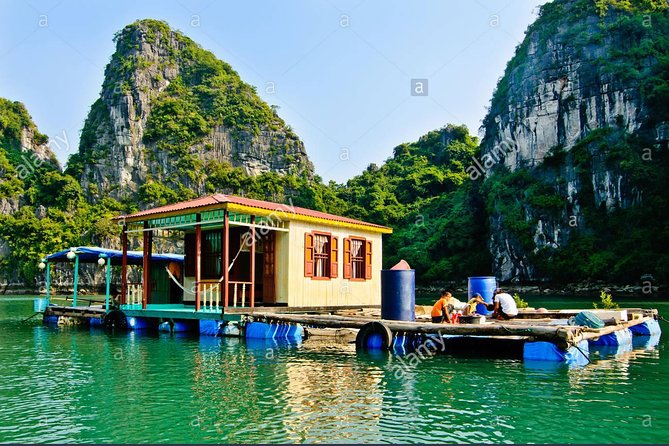 New Cruise Ha Long - CATAMARAN PREMIUM - Lunch on Board and the Sunset Ceremony: Where the Tour Feels Like an Experience, Not Just Transport