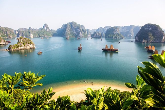New Cruise Ha Long - CATAMARAN PREMIUM - Dark & Bright Cave (14:00–14:45): Kayaking or Bamboo Boat at the Right Pace