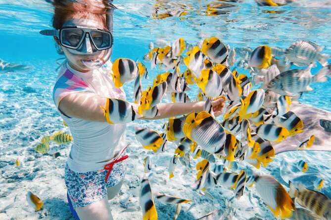 Nha Trang 3 Island VIP Tour - From pickup to pier: what makes this a true VIP-feeling day