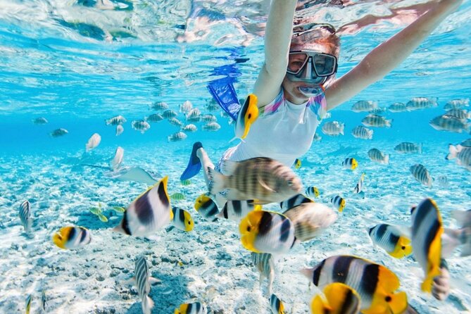 Nha Trang 3 Island VIP Tour - Lunch on an island schedule: fast, filling, and actually worth it