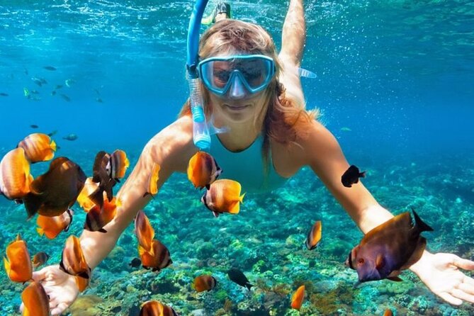 Nha Trang Bay: Explore Half-day Snorkeling at Coral Reef - Price and value: is $27.63 a bargain or a trap?