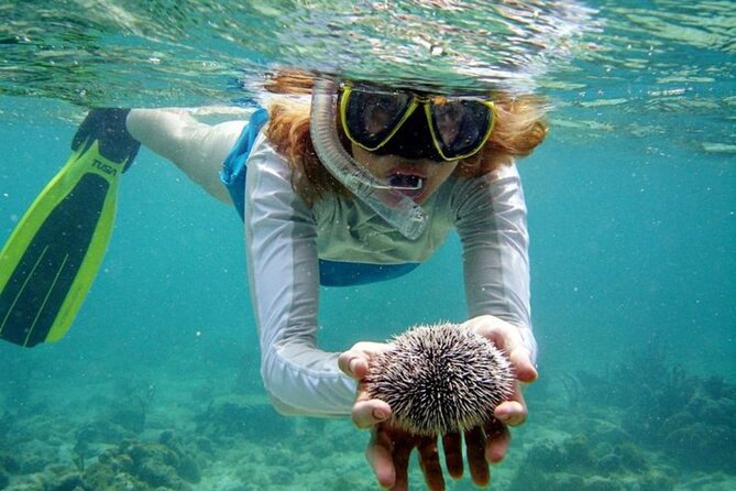 Nha Trang Bay: Explore Half-day Snorkeling at Coral Reef - Should you book Nha Trang Bay: Coral Reef snorkeling?