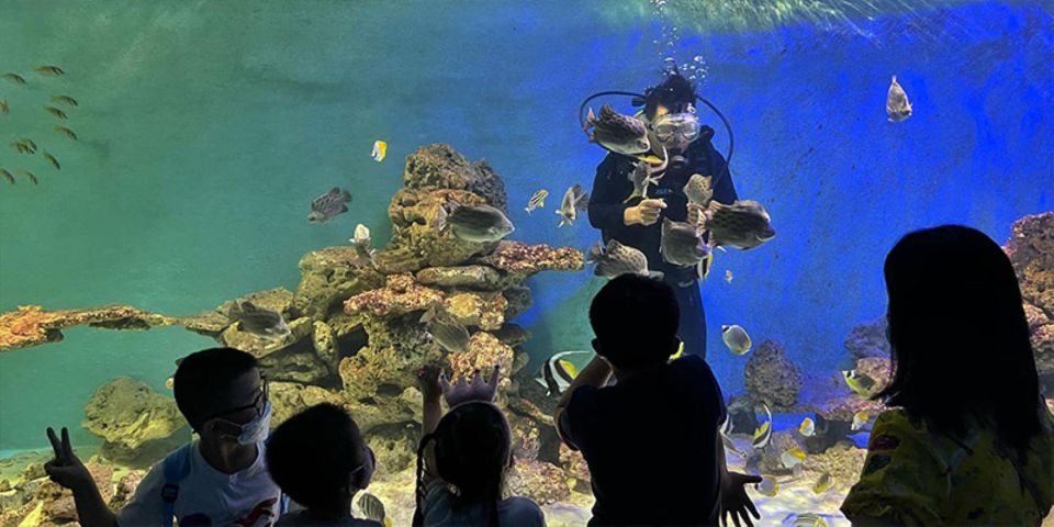 Nha Trang City Half-Day Tour - The Guides Matter: From Photo Help to Calm Explanations