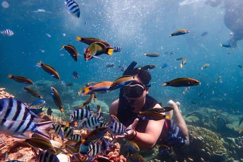 Nha Trang: Coral Reef Snorkeling, Mud Bath & Floating Bar - Nha Trang Coral Reef Snorkeling: The Part Most People Come For