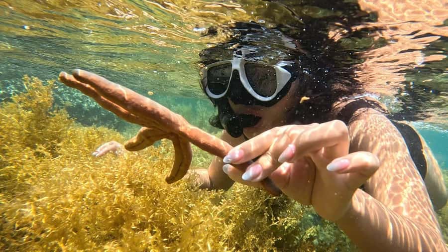 Nha Trang: Half-Day Snorkeling Adventure with BBQ Onboard - Hon Tam: First Snorkel, Brunch-Style Break, and Easy Getting-Oriented