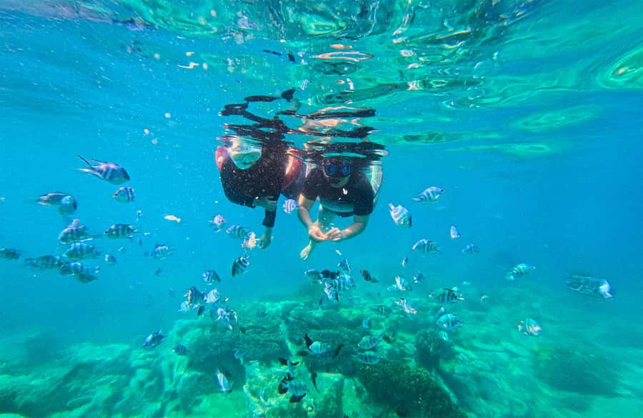 Nha Trang: Half-Day Snorkeling Adventure with BBQ Onboard - Beyond Snorkeling: SUP, Deck Jumps, and Optional Add-Ons