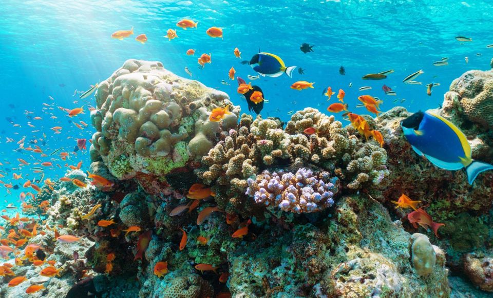Nha Trang Half Day Snorkeling Trip - What to bring (and what to wear) for a smoother water day