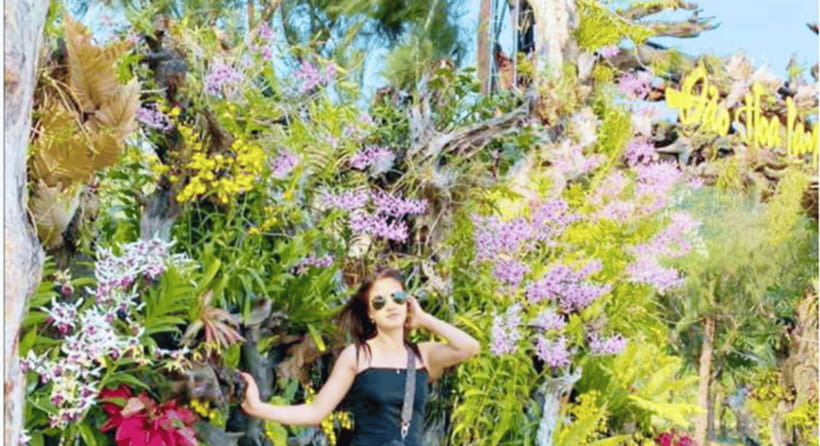 Nha Trang: Monkey Island with Orchids Island Combo Ticket - Orchid Island: Orchid Gardens, Trails, and Hidden Waterfall Sounds