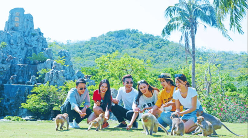 Nha Trang: Monkey Island with Orchids Island Combo Ticket - Monkey Island: Jungle Walks, Monkeys, and the Included Animal Shows