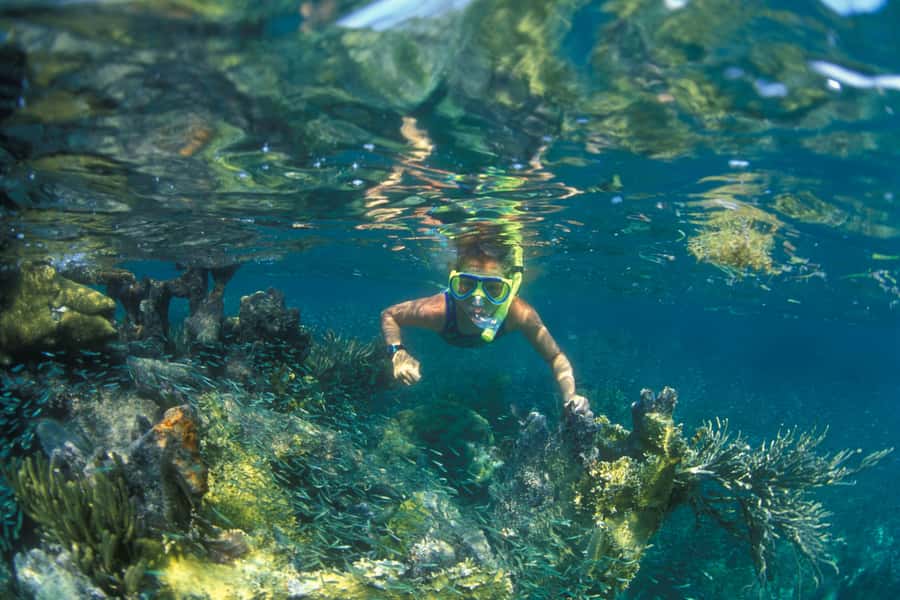 Nha Trang: Mun Island Snorkeling Adventure and BBQ Lunch - Hòn Mun vs. Coral Reef: The Gear Rule You Should Know