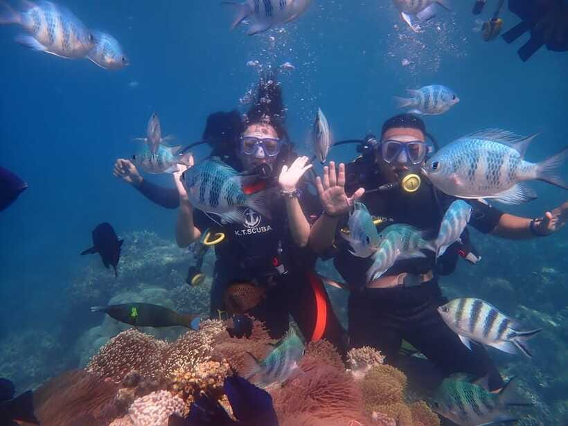 Nha Trang : Scuba diving experience for certified dive - Booking Notes That Save You Stress on Travel Day