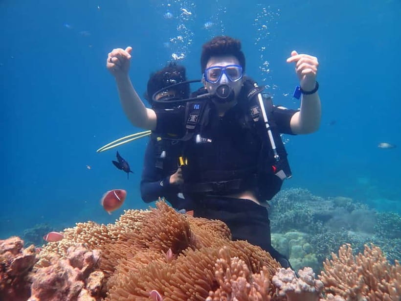Nha Trang : Scuba diving experience for certified dive - Price and What You Actually Get for $51