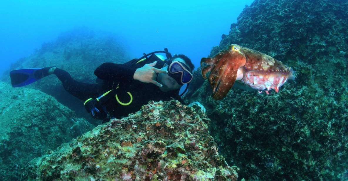 Nha Trang: Scuba Diving Experience for Non-Certified Divers - Boat comfort, gear quality, and what you’ll notice on Day 1