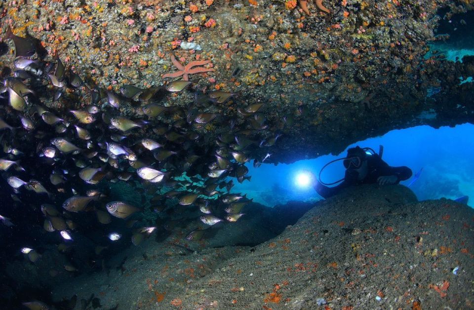 Nha Trang: Scuba Diving Experience for Non-Certified Divers - Break time, BBQ lunch, and the food that keeps the day pleasant