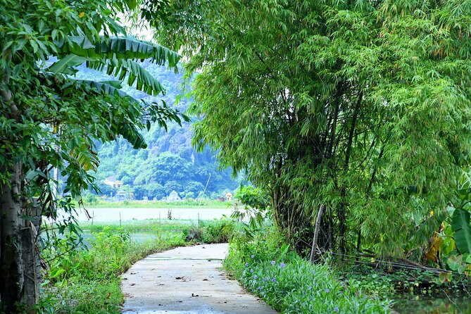 Ninh Binh 2 days 1 night Tour from Hanoi (Small Group of 9) - What to Expect From the Physical Side of This Tour