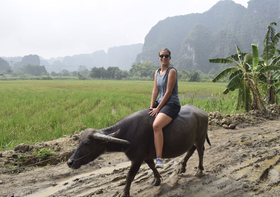 Ninh Binh: Buffalo riding, rice planting group tour - Who This Tour Suits Best (and Who Should Skip It)